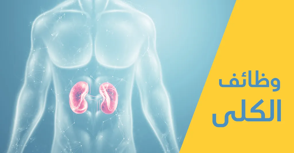 الفشل الكلوي المزمن أسبابه و طرق العلاج